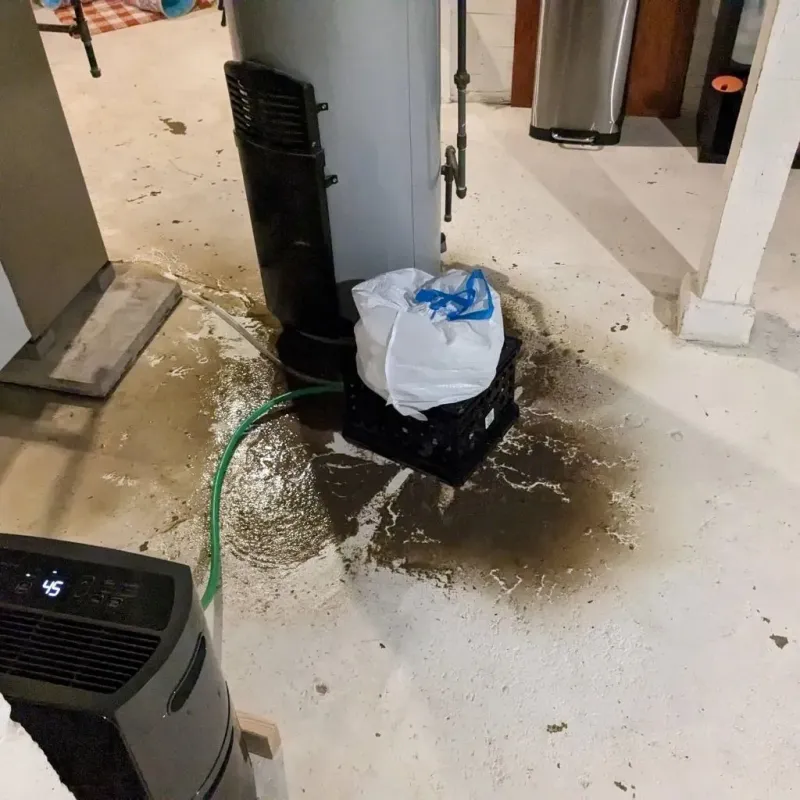 Sewage Backup Cleanup Service in Orange Grove, TX